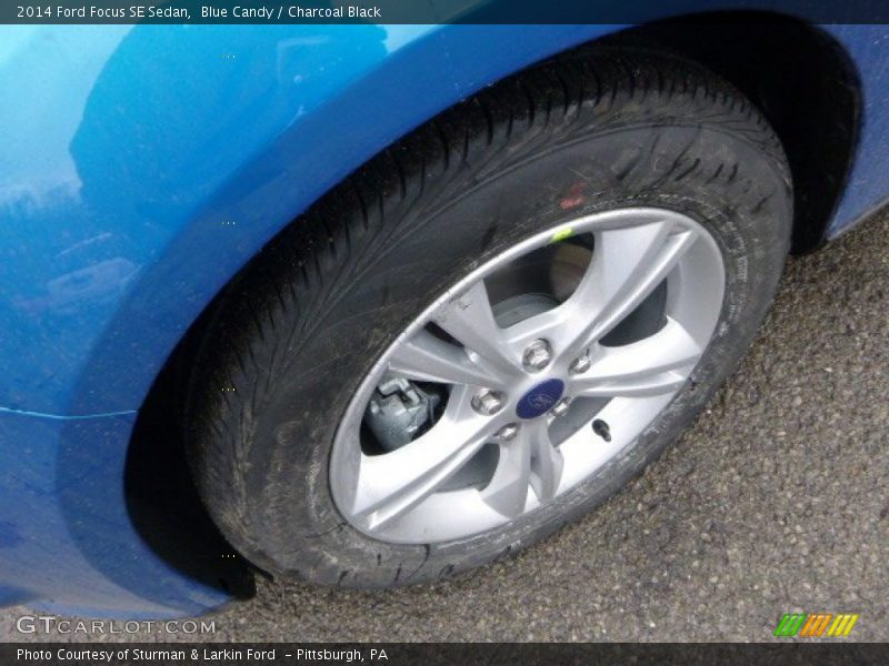 Blue Candy / Charcoal Black 2014 Ford Focus SE Sedan