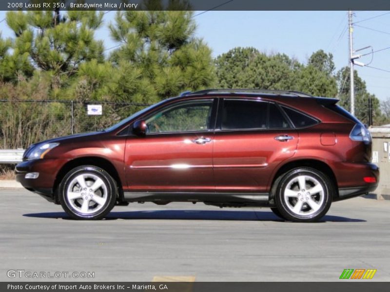 Brandywine Mica / Ivory 2008 Lexus RX 350