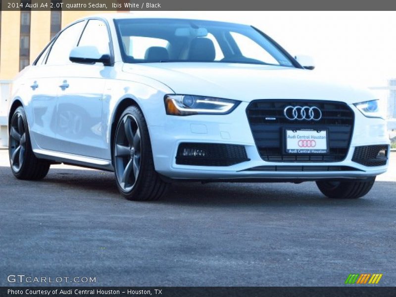 Ibis White / Black 2014 Audi A4 2.0T quattro Sedan