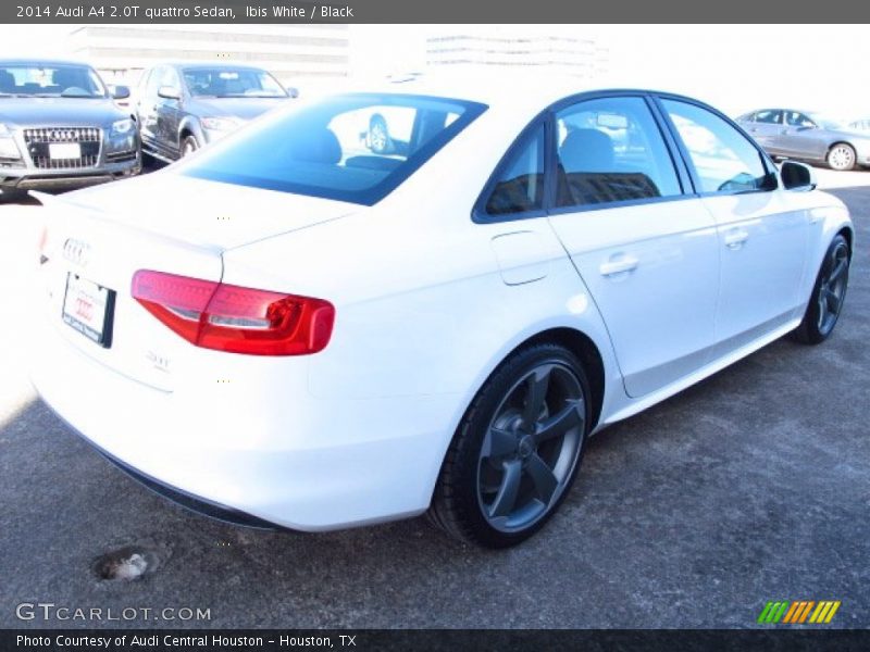 Ibis White / Black 2014 Audi A4 2.0T quattro Sedan