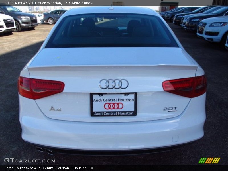 Ibis White / Black 2014 Audi A4 2.0T quattro Sedan
