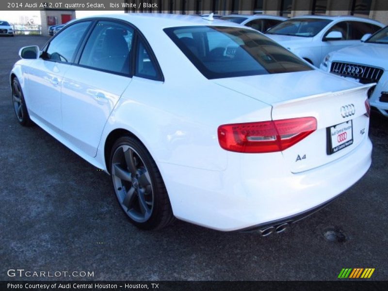 Ibis White / Black 2014 Audi A4 2.0T quattro Sedan
