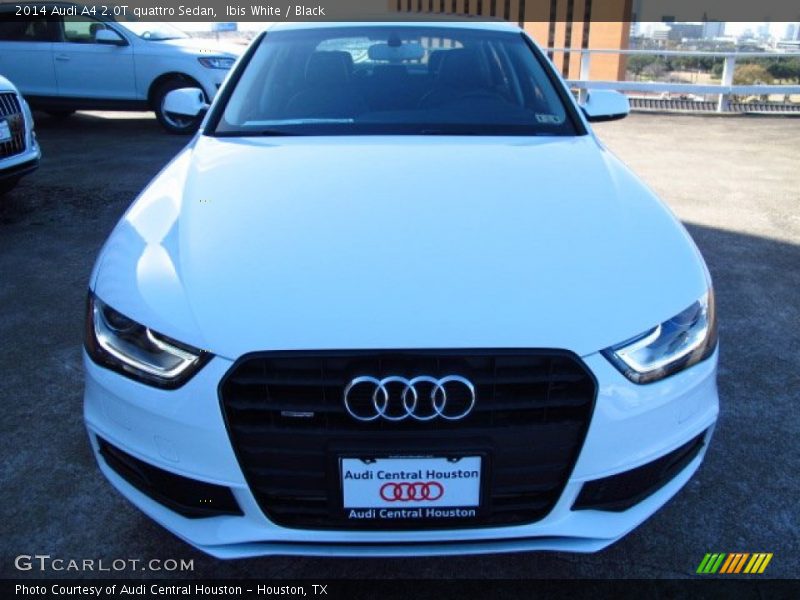 Ibis White / Black 2014 Audi A4 2.0T quattro Sedan