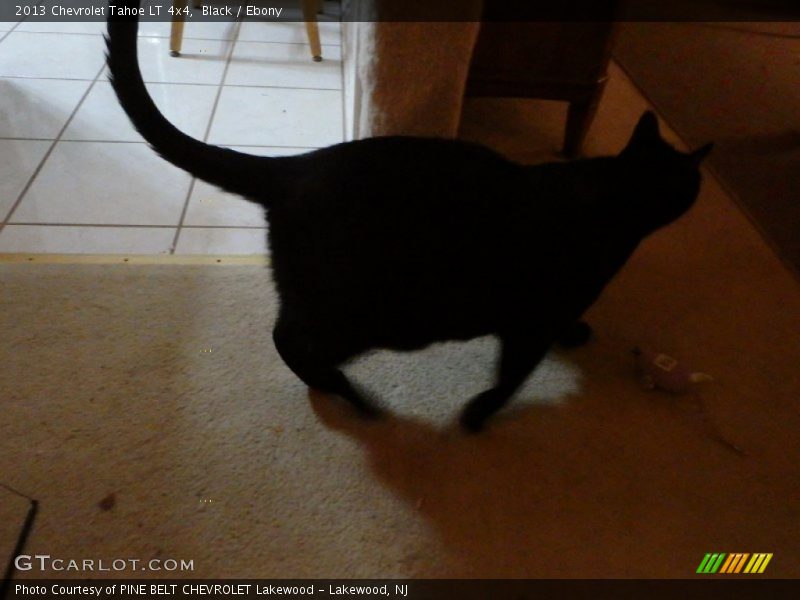 Black / Ebony 2013 Chevrolet Tahoe LT 4x4