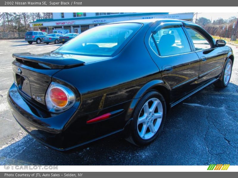 Super Black / Frost 2002 Nissan Maxima SE