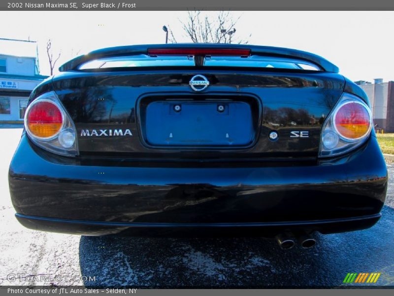 Super Black / Frost 2002 Nissan Maxima SE