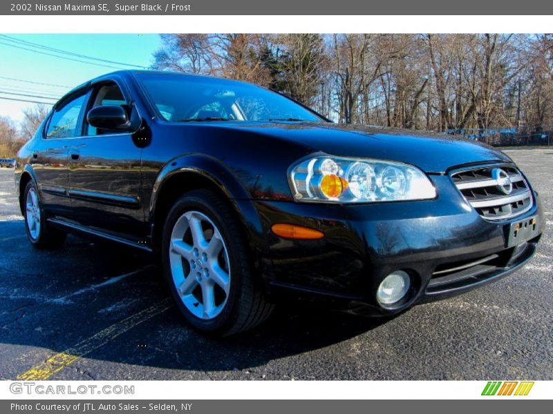 Super Black / Frost 2002 Nissan Maxima SE