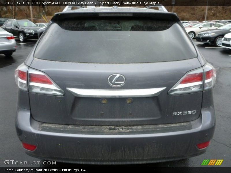 Nebula Gray Pearl / F Sport Black/Ebony Bird's Eye Maple 2014 Lexus RX 350 F Sport AWD