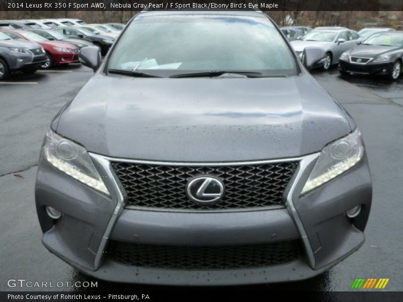 Nebula Gray Pearl / F Sport Black/Ebony Bird's Eye Maple 2014 Lexus RX 350 F Sport AWD