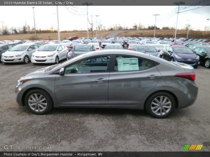 Gray / Gray 2014 Hyundai Elantra SE Sedan