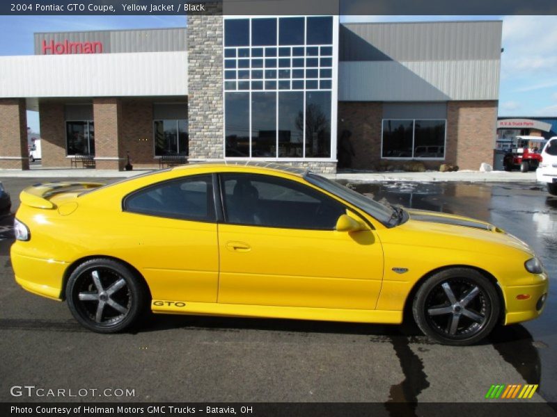 Yellow Jacket / Black 2004 Pontiac GTO Coupe
