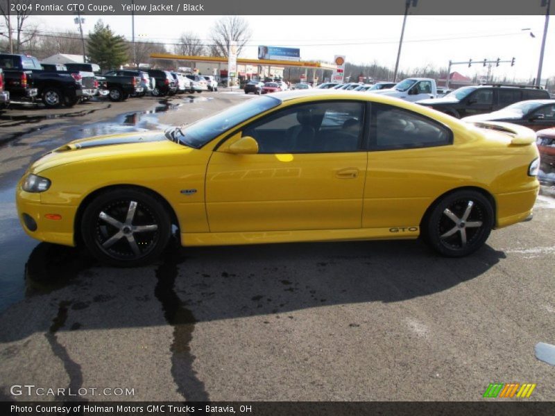 Yellow Jacket / Black 2004 Pontiac GTO Coupe