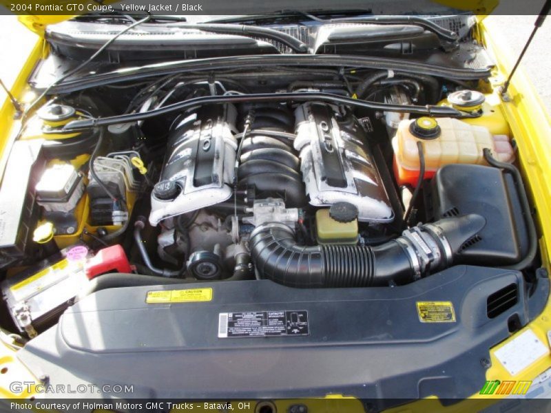 Yellow Jacket / Black 2004 Pontiac GTO Coupe