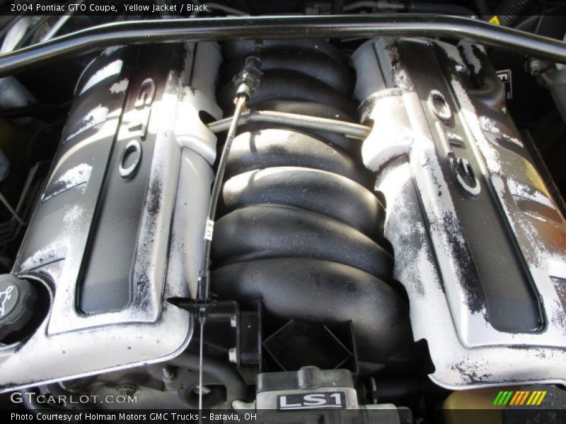 Yellow Jacket / Black 2004 Pontiac GTO Coupe