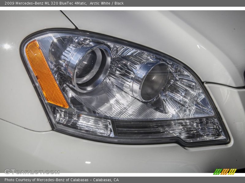 Arctic White / Black 2009 Mercedes-Benz ML 320 BlueTec 4Matic