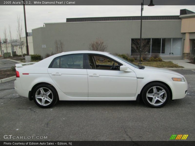 White Diamond Pearl / Camel 2005 Acura TL 3.2