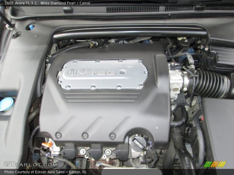White Diamond Pearl / Camel 2005 Acura TL 3.2