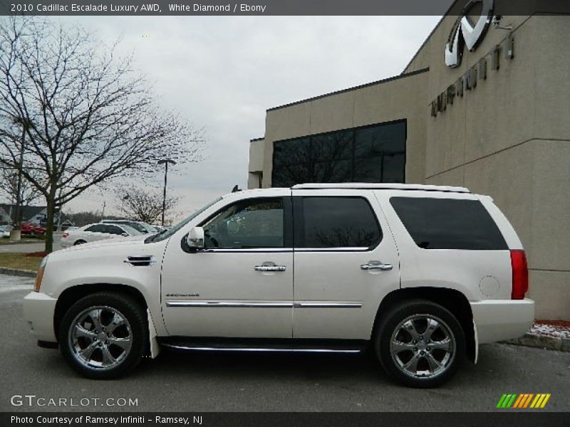 White Diamond / Ebony 2010 Cadillac Escalade Luxury AWD
