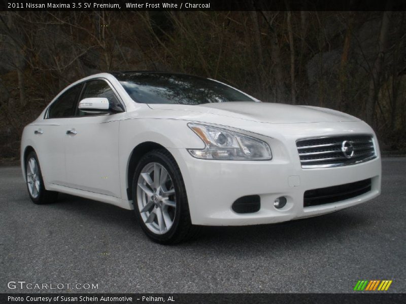 Winter Frost White / Charcoal 2011 Nissan Maxima 3.5 SV Premium