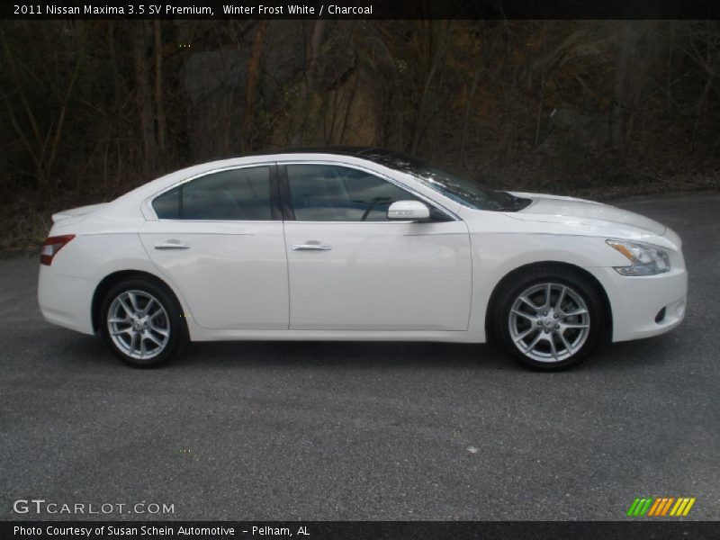 Winter Frost White / Charcoal 2011 Nissan Maxima 3.5 SV Premium