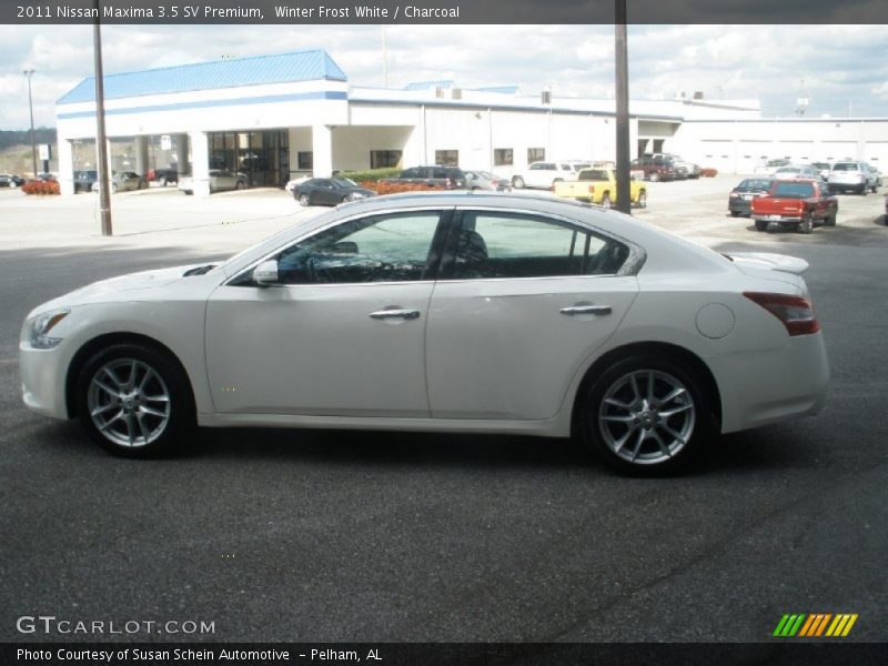 Winter Frost White / Charcoal 2011 Nissan Maxima 3.5 SV Premium