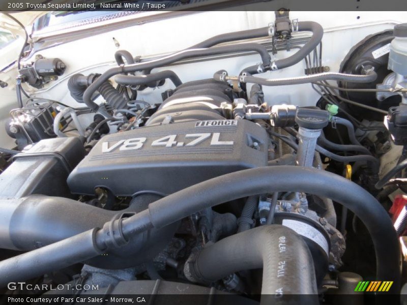 Natural White / Taupe 2005 Toyota Sequoia Limited