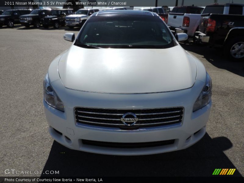 Winter Frost White / Charcoal 2011 Nissan Maxima 3.5 SV Premium