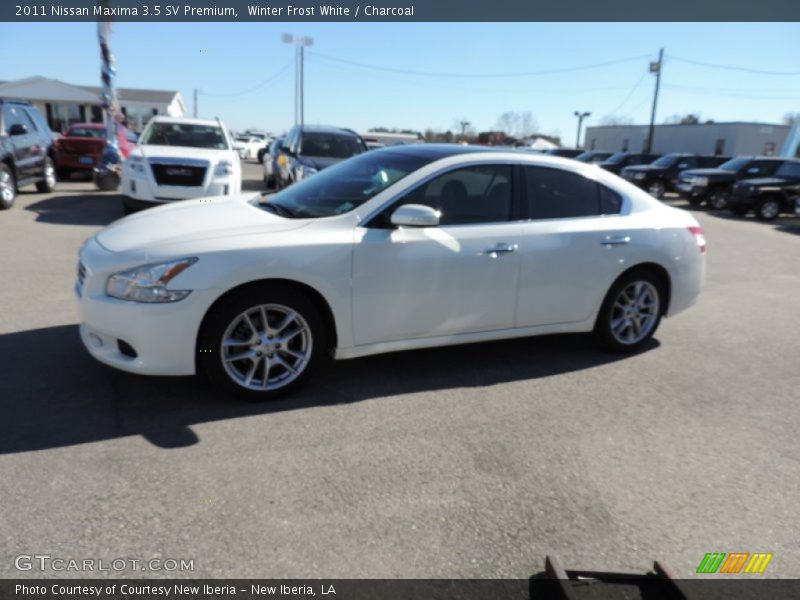 Winter Frost White / Charcoal 2011 Nissan Maxima 3.5 SV Premium