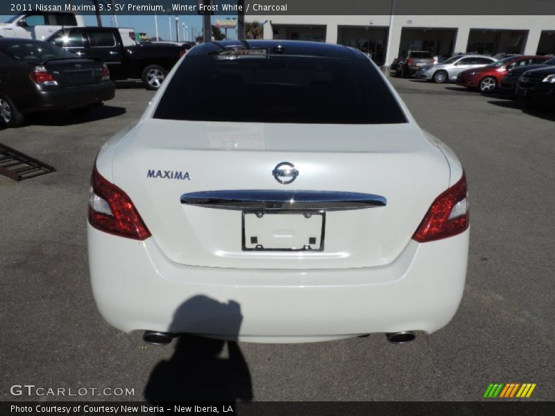 Winter Frost White / Charcoal 2011 Nissan Maxima 3.5 SV Premium