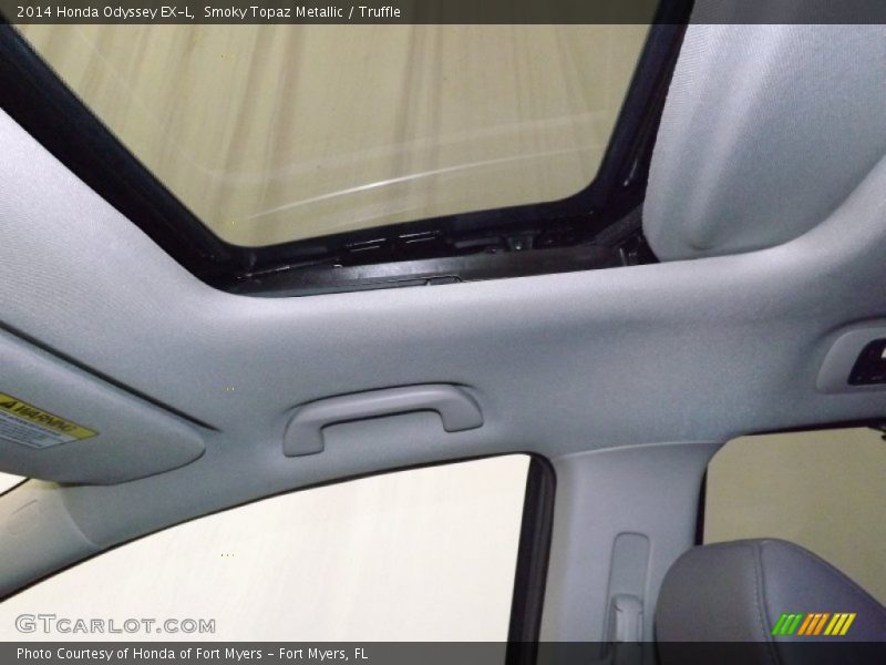 Smoky Topaz Metallic / Truffle 2014 Honda Odyssey EX-L