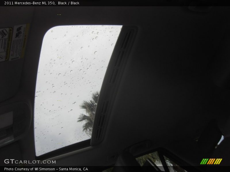 Black / Black 2011 Mercedes-Benz ML 350