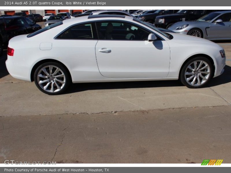 Ibis White / Velvet Beige 2014 Audi A5 2.0T quattro Coupe