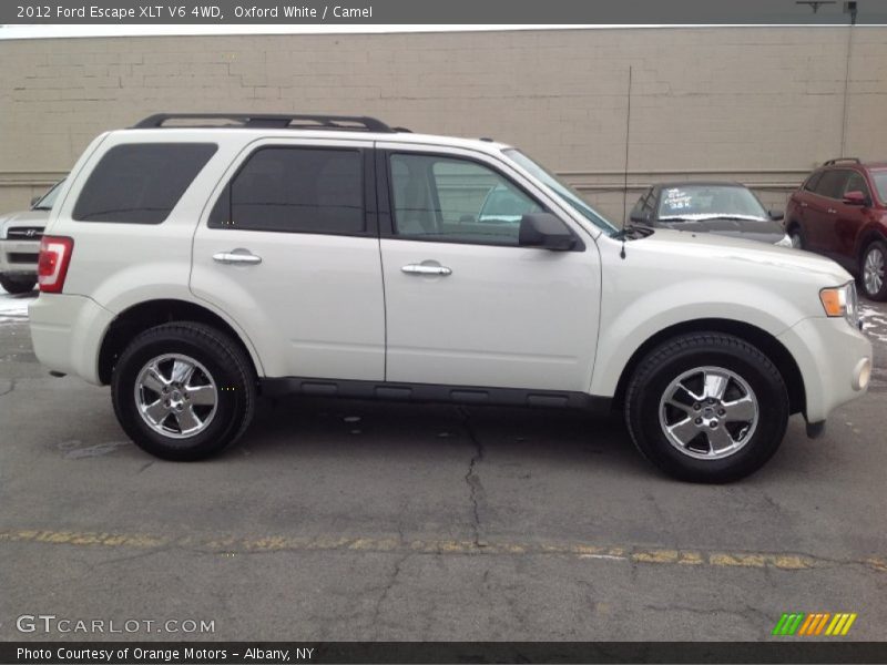 Oxford White / Camel 2012 Ford Escape XLT V6 4WD