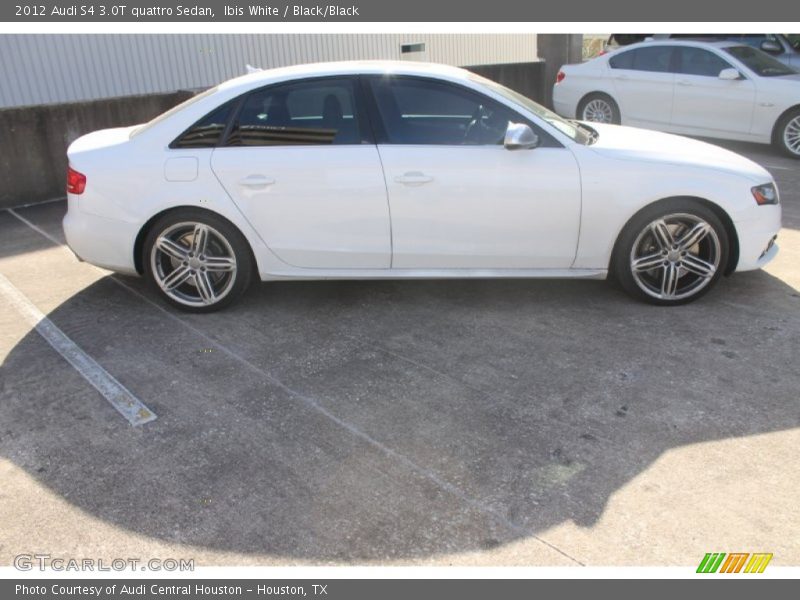 Ibis White / Black/Black 2012 Audi S4 3.0T quattro Sedan