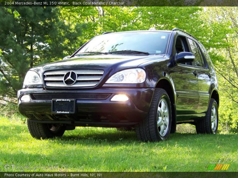 Black Opal Metallic / Charcoal 2004 Mercedes-Benz ML 350 4Matic