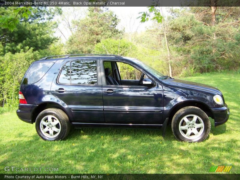 Black Opal Metallic / Charcoal 2004 Mercedes-Benz ML 350 4Matic