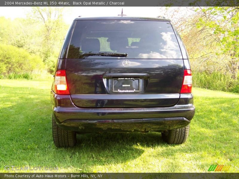 Black Opal Metallic / Charcoal 2004 Mercedes-Benz ML 350 4Matic