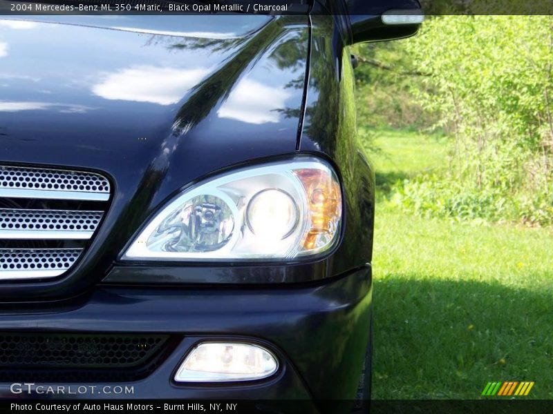Black Opal Metallic / Charcoal 2004 Mercedes-Benz ML 350 4Matic