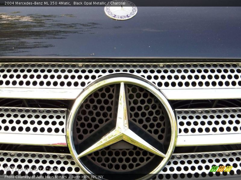 Black Opal Metallic / Charcoal 2004 Mercedes-Benz ML 350 4Matic