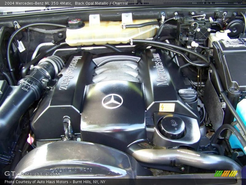 Black Opal Metallic / Charcoal 2004 Mercedes-Benz ML 350 4Matic
