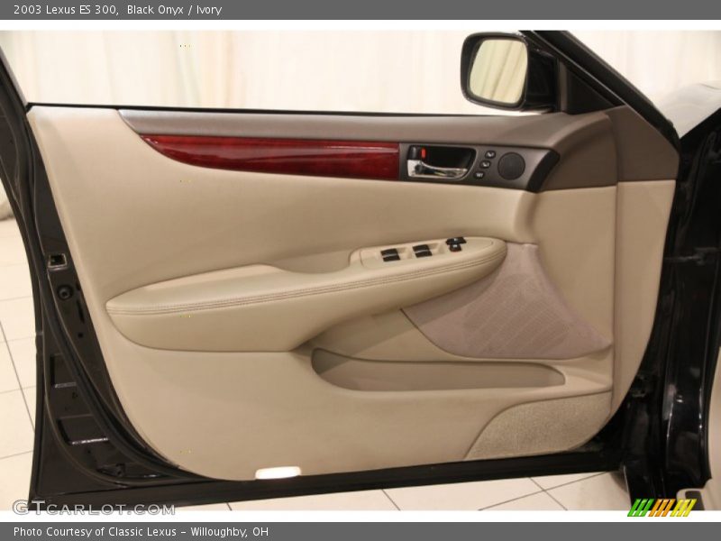 Door Panel of 2003 ES 300