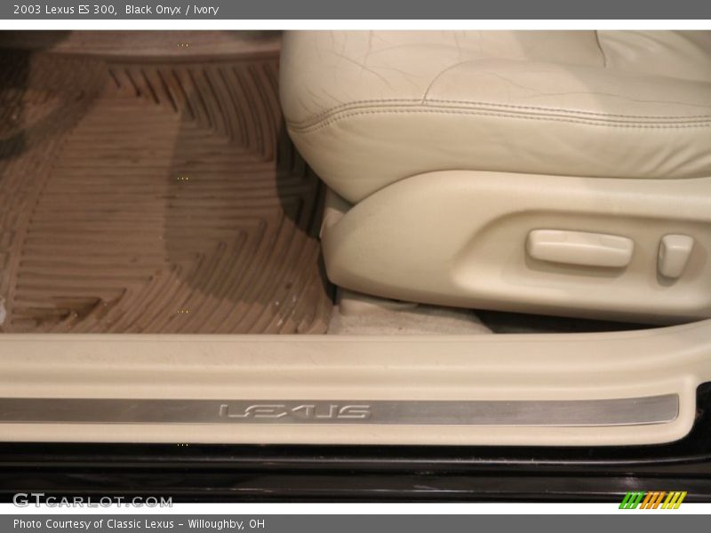 Black Onyx / Ivory 2003 Lexus ES 300