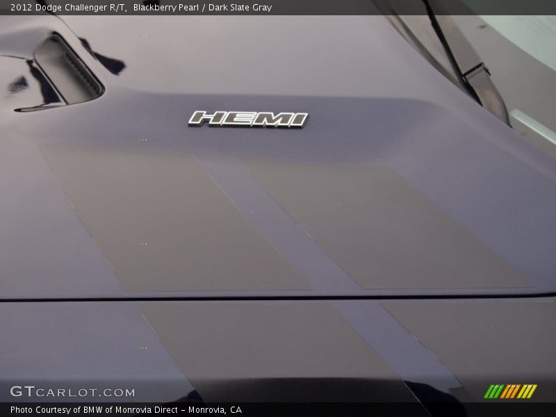 Blackberry Pearl / Dark Slate Gray 2012 Dodge Challenger R/T