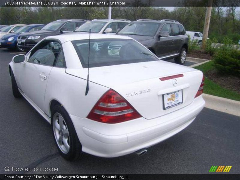 Alabaster White / Charcoal 2003 Mercedes-Benz SLK 320 Roadster