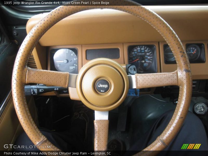 Moss Green Pearl / Spice Beige 1995 Jeep Wrangler Rio Grande 4x4