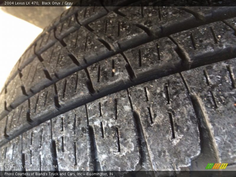 Black Onyx / Gray 2004 Lexus LX 470