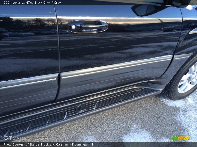 Black Onyx / Gray 2004 Lexus LX 470