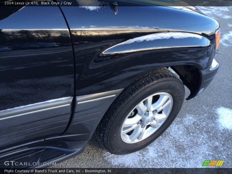 Black Onyx / Gray 2004 Lexus LX 470