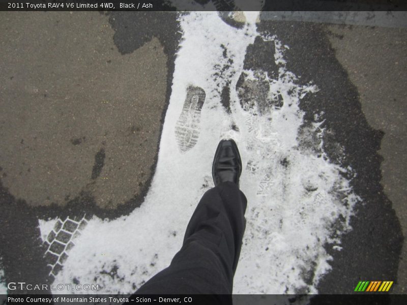 Black / Ash 2011 Toyota RAV4 V6 Limited 4WD