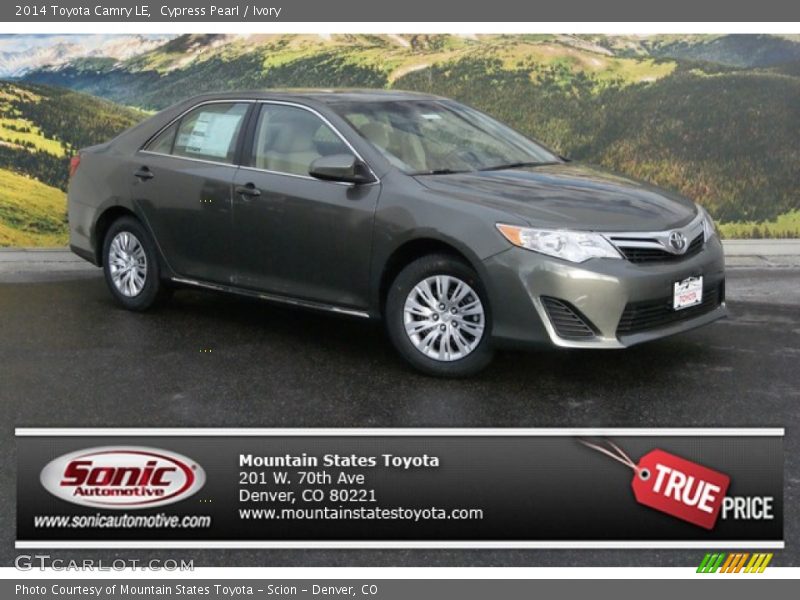 Cypress Pearl / Ivory 2014 Toyota Camry LE